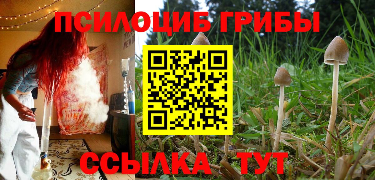 Благовещенск  Галлюциногенные грибы Cubensis  Вход с VPN  Псилоцибиновые грибы Psilocybine cubensis 