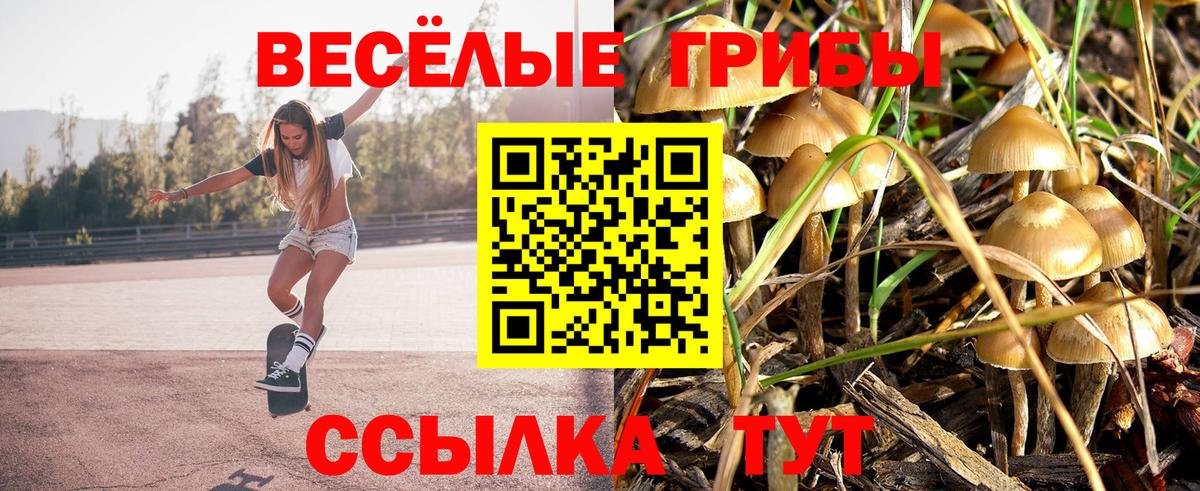 Псилоцибиновые грибы Magic Shrooms Благовещенск